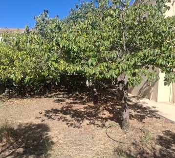 Padru House | Casa Anna