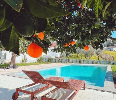 Castanheira de Pera House | Casa Bizarra