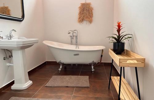 Castanheira de Pera House | Casa Bizarra