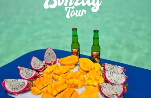 Mario Villanueva Madrid House | Casa Bonzay