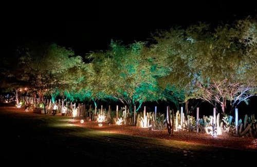 Macau Bed & Breakfast | Casa Cactus Praia