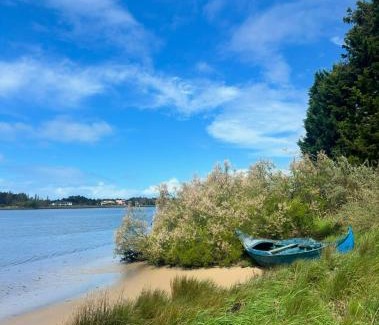 Ovar Apartment | Casa Campos - Refresh - 2-bedroom apartment