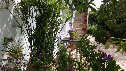 Llanera House | Casa Candelas