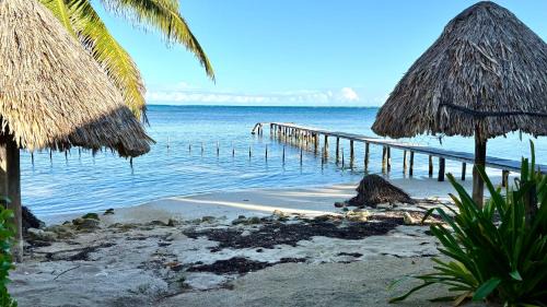 Xcalak Cabin | Casa Cangrejo Xcalak Lodge