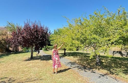 Pontecesures House | Casa Carlés by URent