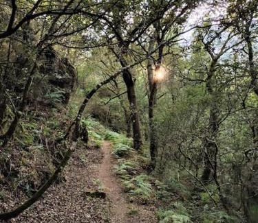 O Irixo House | Casa Carmiña: Casa para pequeños grupos en el corazón de Galicia