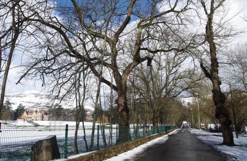 Barriopalacio Apartment | Casa Castillo II