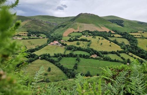 Limes Apartment | CASA CHANOS