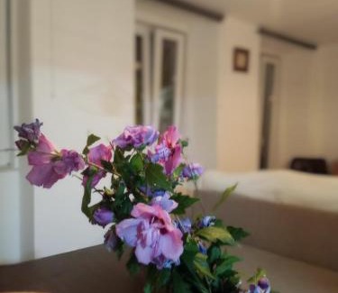 Coimbra Apartment | Casa com vista sob a cidade!