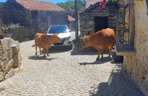 Candal House | Casa Completa de 2 Pisos, com Cozinha em Open Space