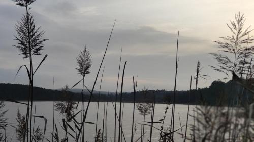 Casais do Rio House | Casa D Amélia