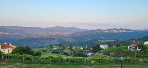 Armamar Villa | Casa da Avó