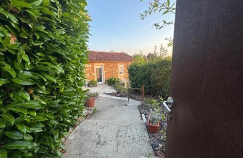 Lanhelas House | Casa da Avó Quina - Seixas