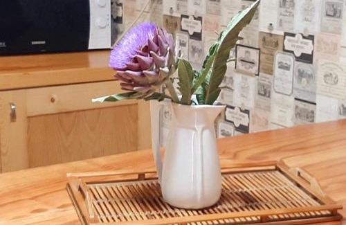 O Freixo House | Casa da mestre