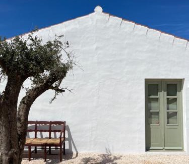 Monte Ruivo House | Casa da Oliveira - Monte Branco