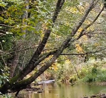 Portagem House | Casa da Piedade