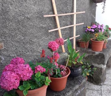 Santa Cruz das Flores House | Casa da Travessa