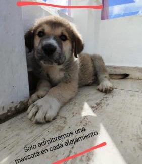 Estella Apartment | CASA DANIELA APARTAMENTOS-The pilgrim's house apartments