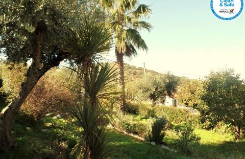 Arraiolos House | Casa das 3 Palmeiras