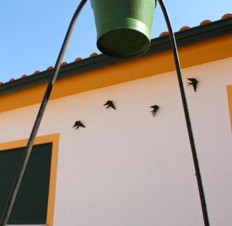 Povoa House | Casa das Andorinhas - Turismo Rural - Nazaré Alcobaça