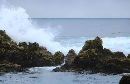 Altares House | Casa das Cales