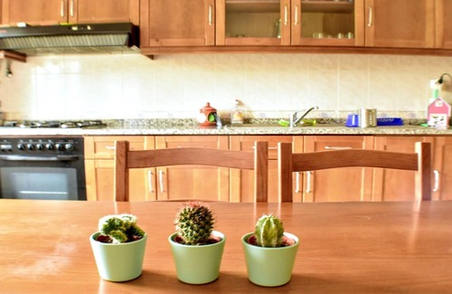 Gois Apartment | Casa das Figueirinhas - ideal to enjoy nature