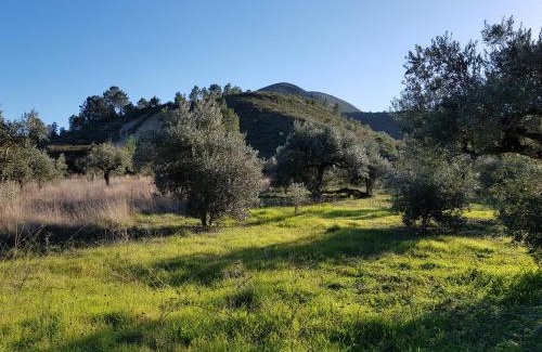 Alvados Villa | Casa Das Oliveiras
