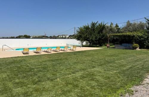 Avis House | Casa das Oliveiras