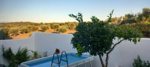 Crato Apartment | Casa das Rosas