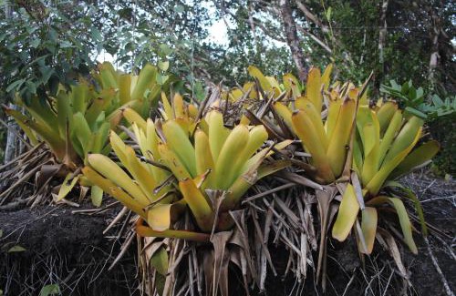 Morro de Sao Paulo House | Casa de Areia