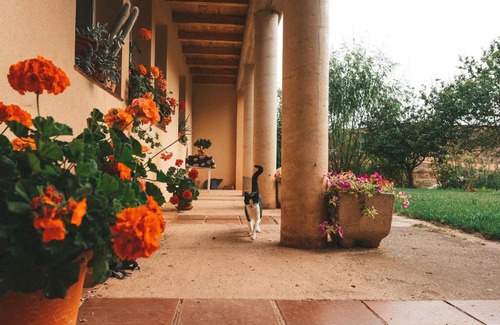 Estollo House | Casa de Campo La Solana