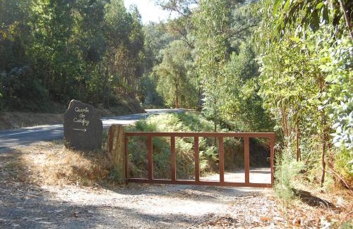 Cinfaes House | Casa de Campo "Quinta do Cadafaz"