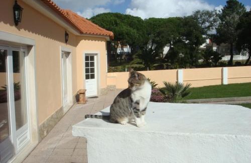 Malveira House | Casa De Hospedes Flor Do Jardim