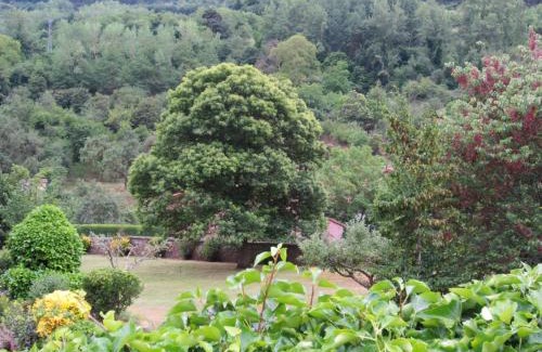 Pradoluengo House | CASA DE JULIO MARROQUIN