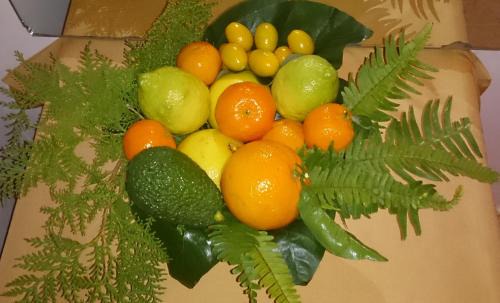 Zafarraya House | Casa de la Abuela Pepa