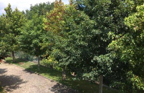 Palmaz Apartment | Casa de Madeira