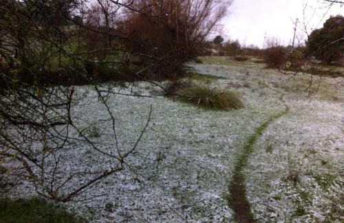 Celorico da Beira House | Casa de Malhoes