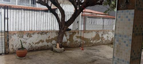 Caueira House | Casa de praia do betto