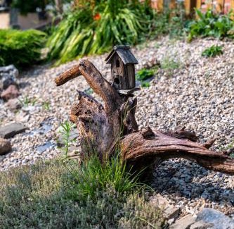 Bembibre House | Casa de turismo rural Sardom3