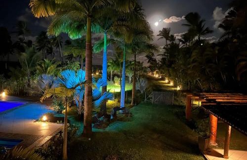 Aritagua House | Casa de Vidro