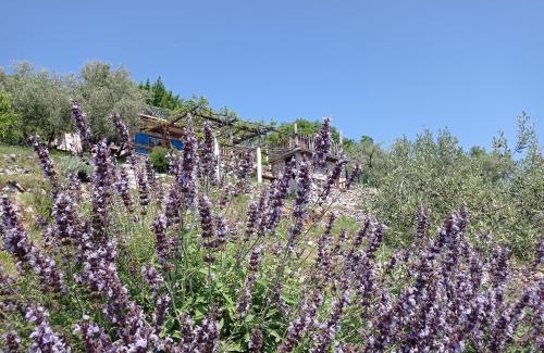 Mosenice House | Casa Delle Olive