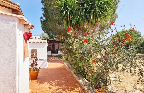 Colegio House | Casa do Avô António