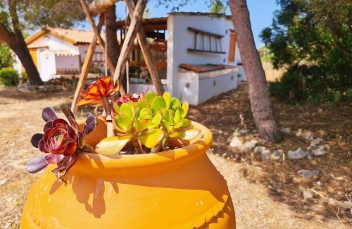 Colegio House | Casa do Avô António