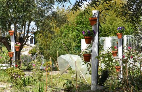 Vendas Novas House | Casa do Avô Ezequiel