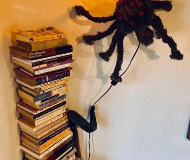 Pampilhosa da Serra House | Casa do Baloiço