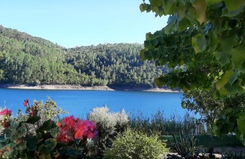 Olalhas House | Casa do Lago