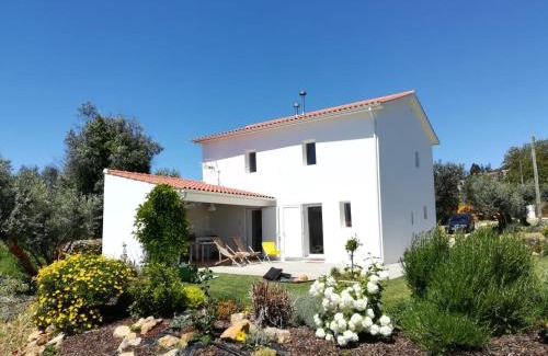 Figueiro dos Vinhos House | Casa do Olival