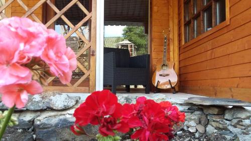 Figueiro dos Vinhos House | Casa do Ouriço