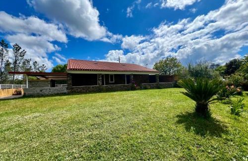 Olalhas House | Casa do Pinhal