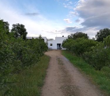 Alvito House | Casa do Vale da Terra Negra